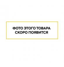 Печь ВЕЗУВИЙ Легенда Ковка 16 (505)